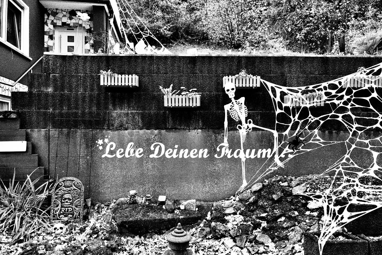 Sascha Büttner Leia Fotografie