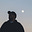 Knives Monroe's avatar