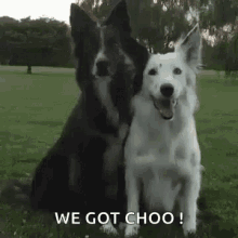 We Got You GIFs | Tenor