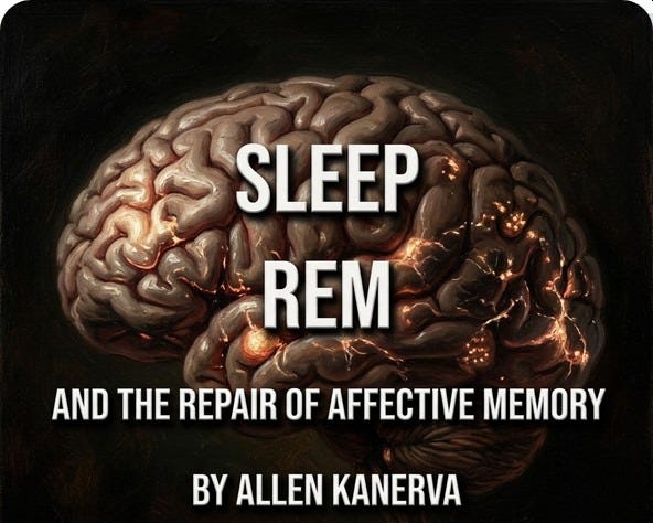 Sleep, REM, and The Repair of Affective Memory