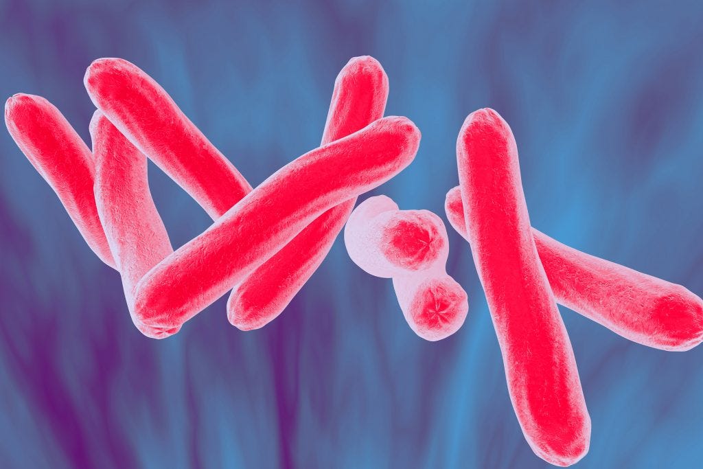What is tuberculosis? - KNCV - Tuberculosefonds