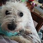 Julie's avatar
