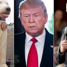 The Useful Idiots New Guide to the Most Stoned Moments of the 2020 Presidential Campaign