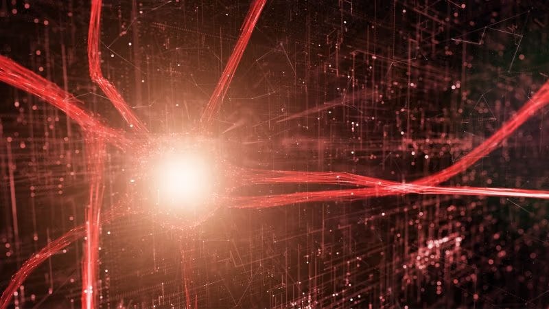 Reflections on Brain Death, Hope, and the Limits of Certainty Reflections on Brain Death, Hope, and the Limits of Certainty