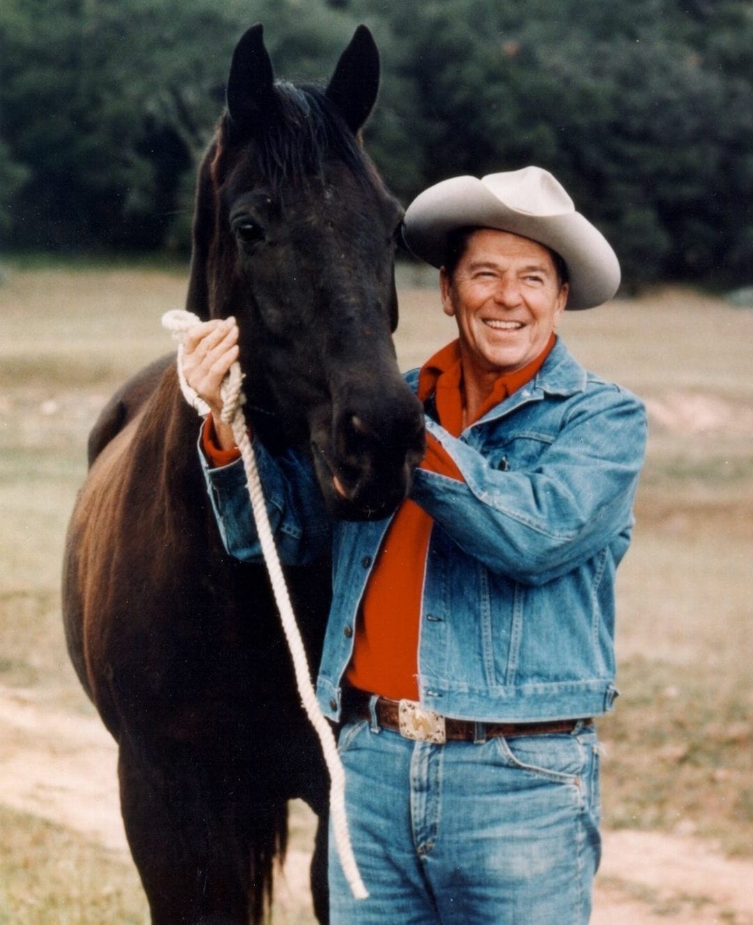 A man smiles and pats the face of the dark brown horse standing close to him.