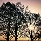 Another 52 Weeks — Year 3, No. 15