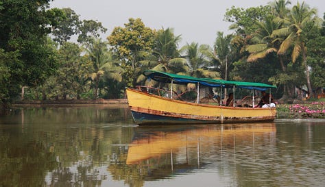 Six images: grey sky and brown water, with trees reflected as if in a mirror; grey sky and brown water with a red-roofed house and palm trees, also reflected as if in a mirror, purple swamphen among water hyacinth, man in a yellow shirt in a canoe, collecting litter, a duck with a canoe in the background and people fishing, a yellow boat reflected in the water