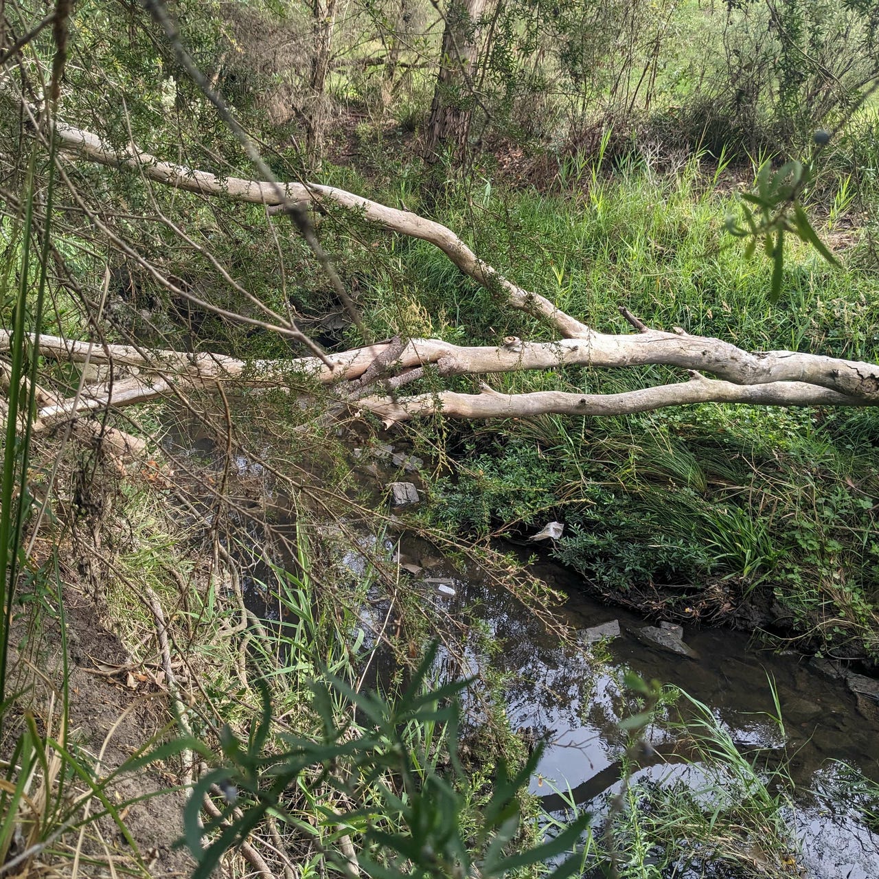 Musings From a Queer Environmentalist