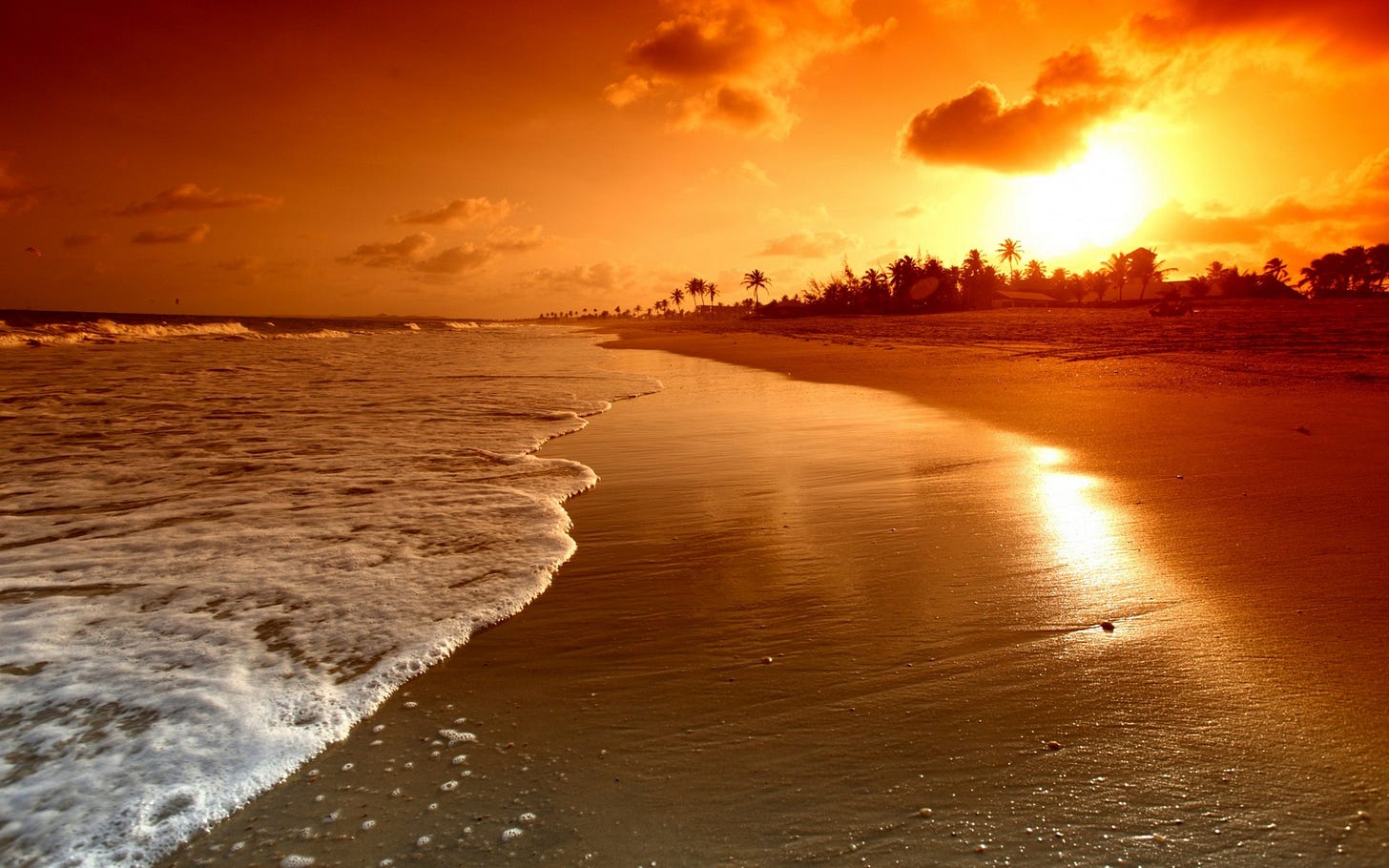 Sunrise Palms Sea Beautiful Nature Landscape Water Sky Clouds Scene Waves  Beach Sunset 1920x1200 : Wallpapers13.com