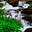 Admin's avatar