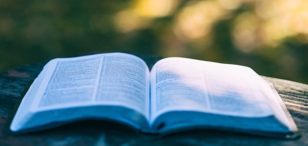 opened book selective focus photography
