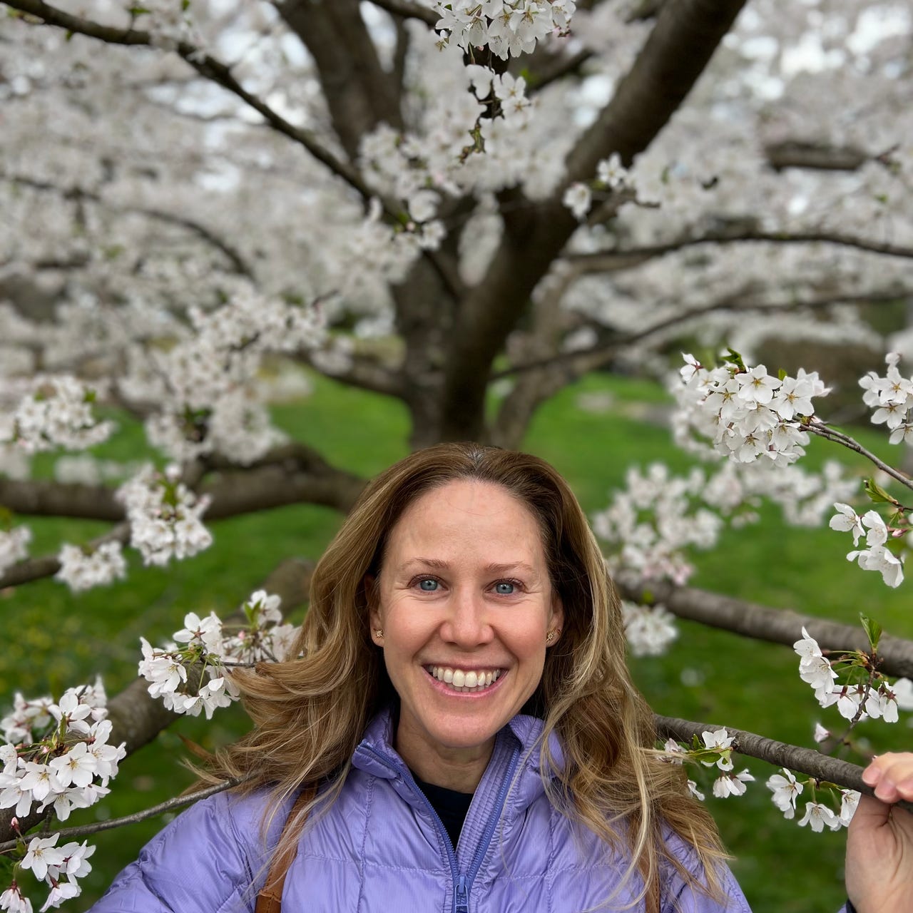 Susie Orman Schnall, Author