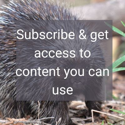 porcupine in the background of text for a blog post on how to remove porcupine quills from your dog