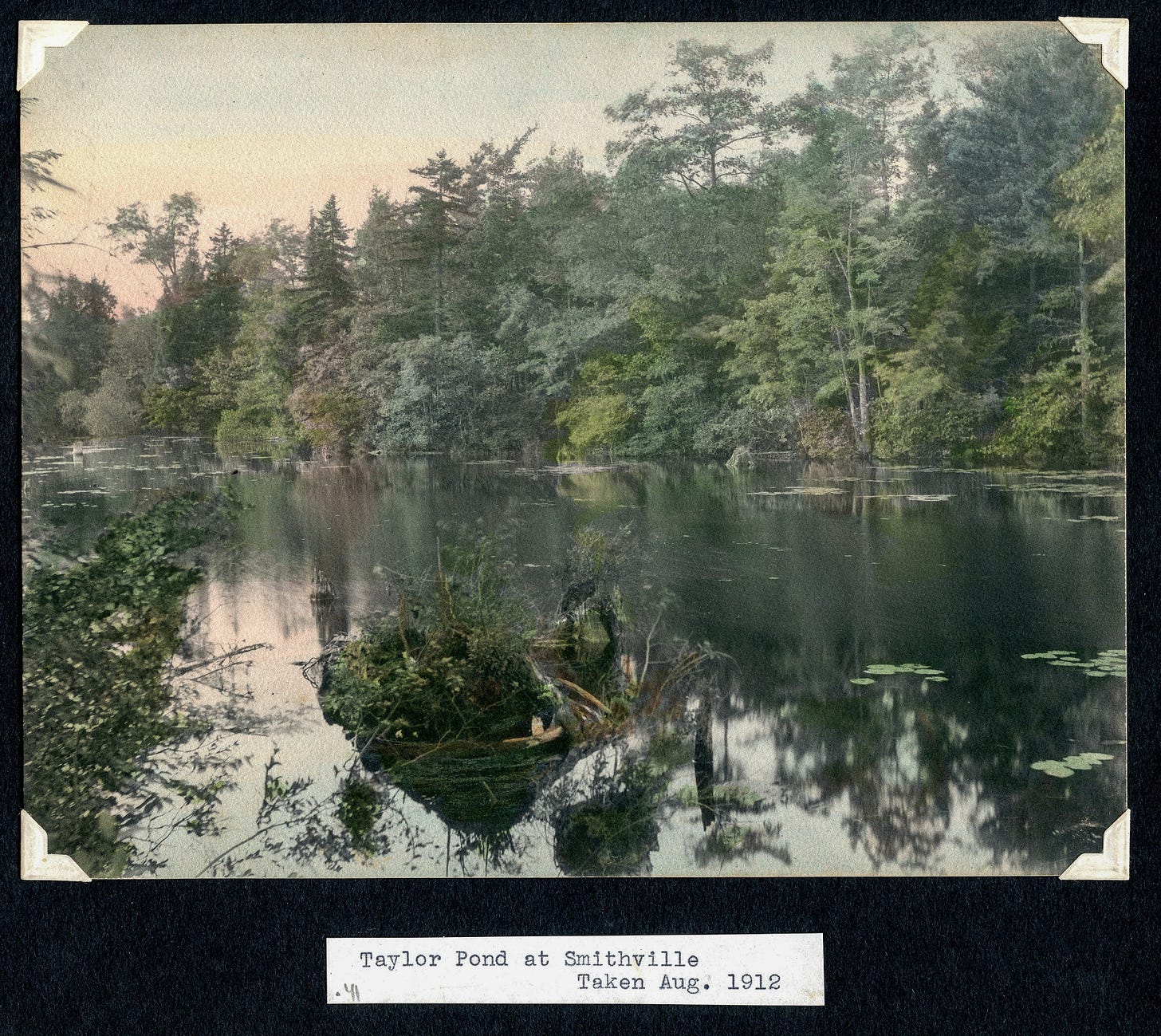 Taylor Pond