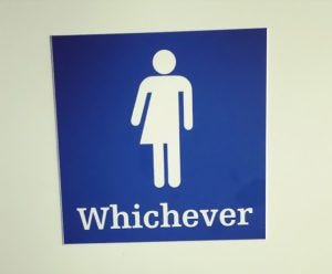 A non-gender specific bathroom sign labeled "Whichever"