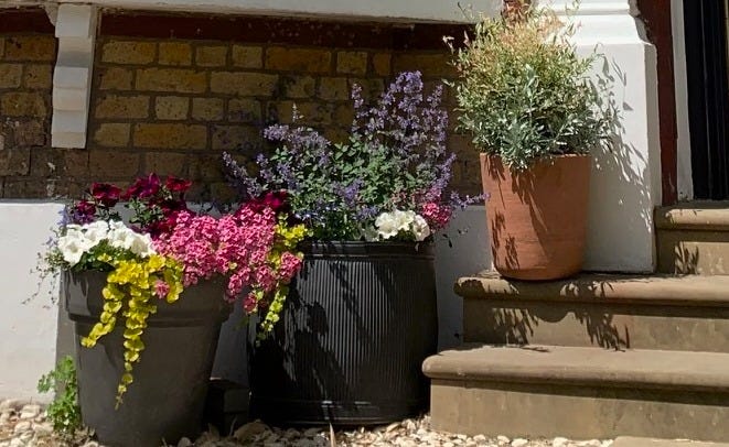 What to Plant in Pots Right Now - by Leanne Kilroy