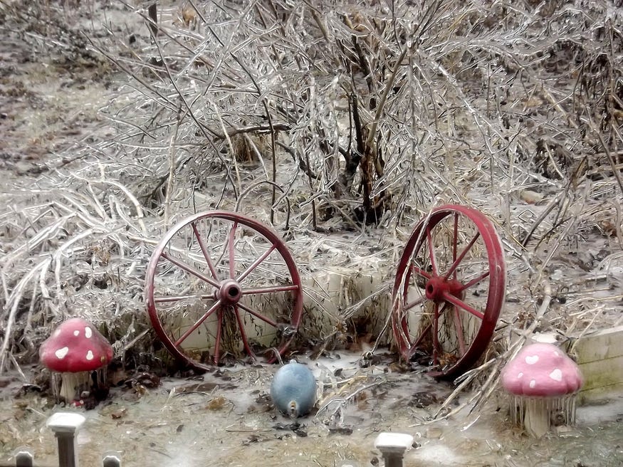 Old flower stems and sticks in a planting bed, two antique red iron wheels, and two novelty-size mushroom ornaments, all covered in a thick coating of ice.