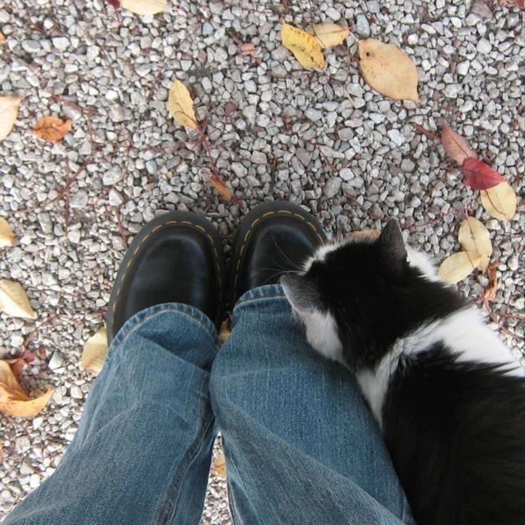 Artwork for Hadoonaria’s Substack