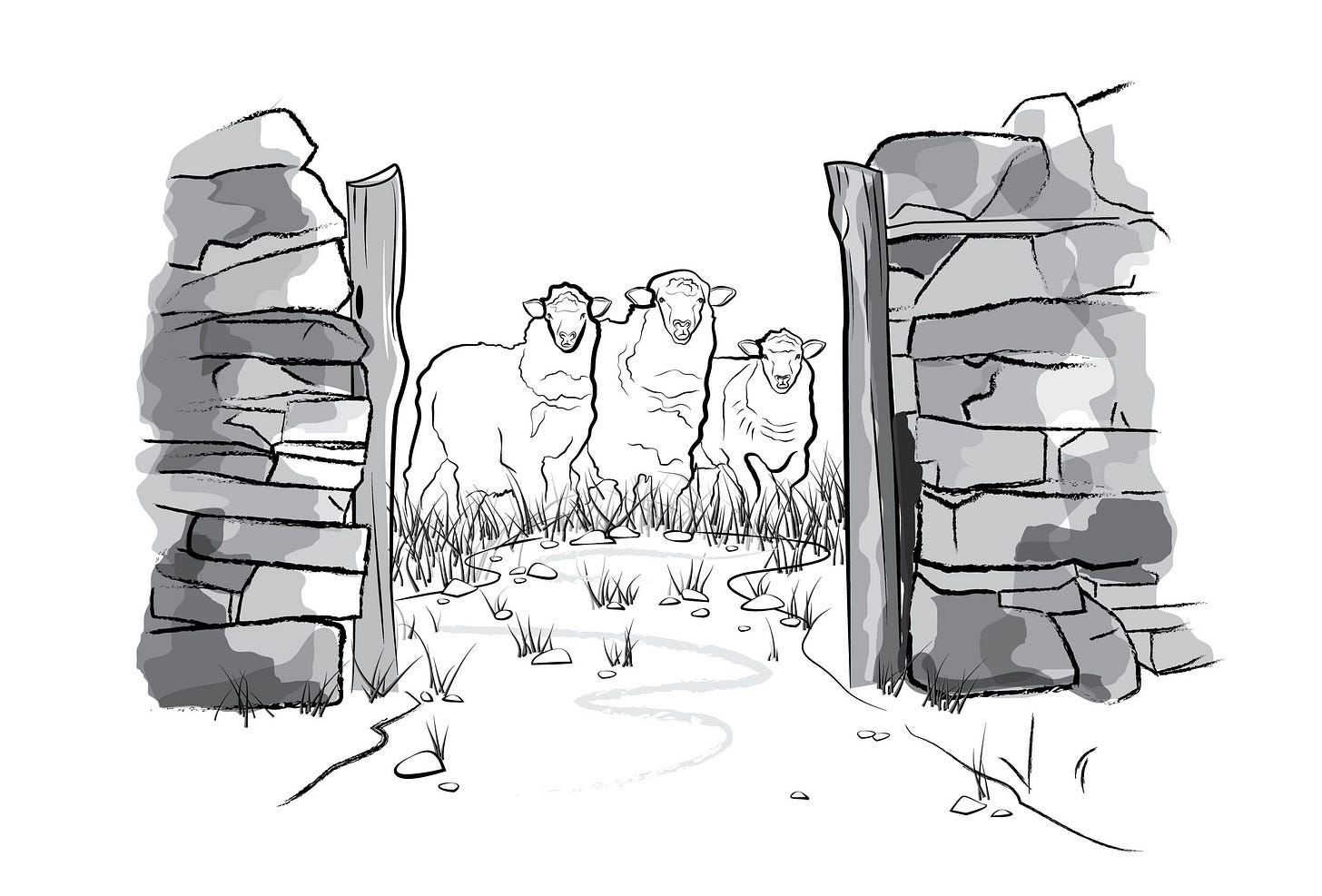 A simple greyscale sketch of some sheep standing at the threshold of a gate.