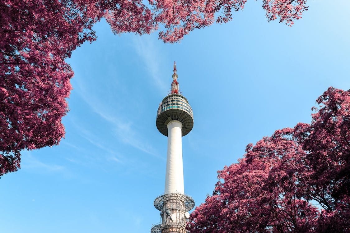 Free Low-Angle Photo of N Seoul Tower Stock Photo
