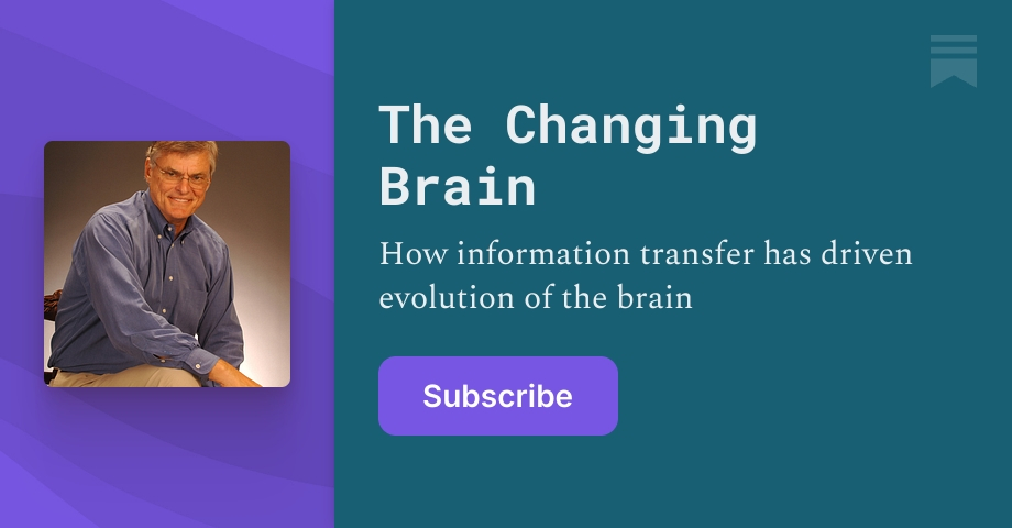 The Changing Brain | Substack