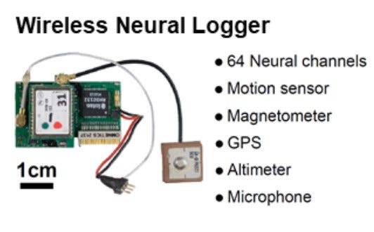 Image of a neural logger, a small ~3 cm device, with text that says: 64 neural channels, motion sensor, magnetometer, GPS, altimeter, microphone