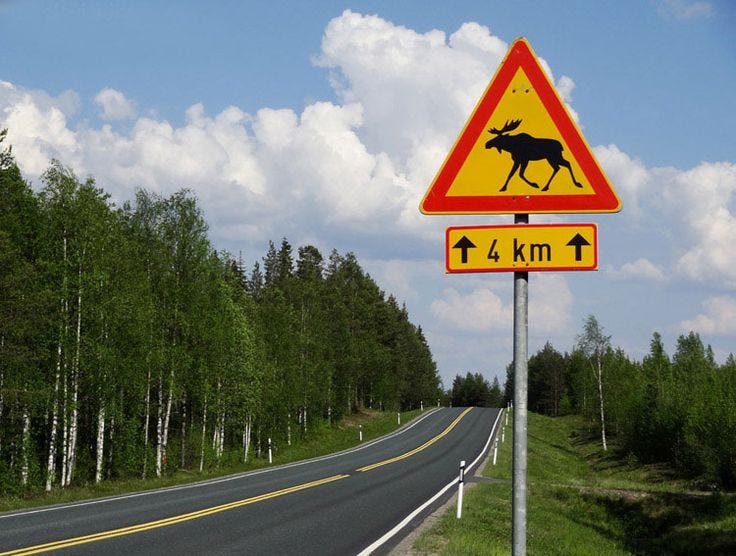 You see these elk crossing road signs all over rural Sweden. You see these elk crossing road signs all over rural Sweden.