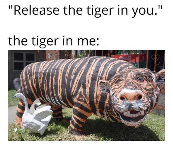 May be an image of text that says '"Release the tiger in you." the tiger in me:'