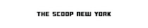 The Scoop New York