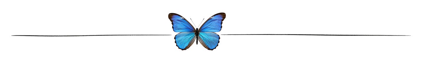social butterfly, social media, marketing for small business, karen michaels