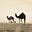 مُسلم's avatar