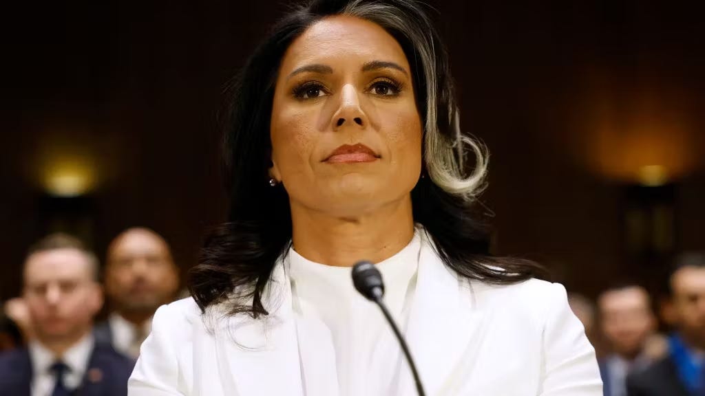 Tulsi vs the Swamp