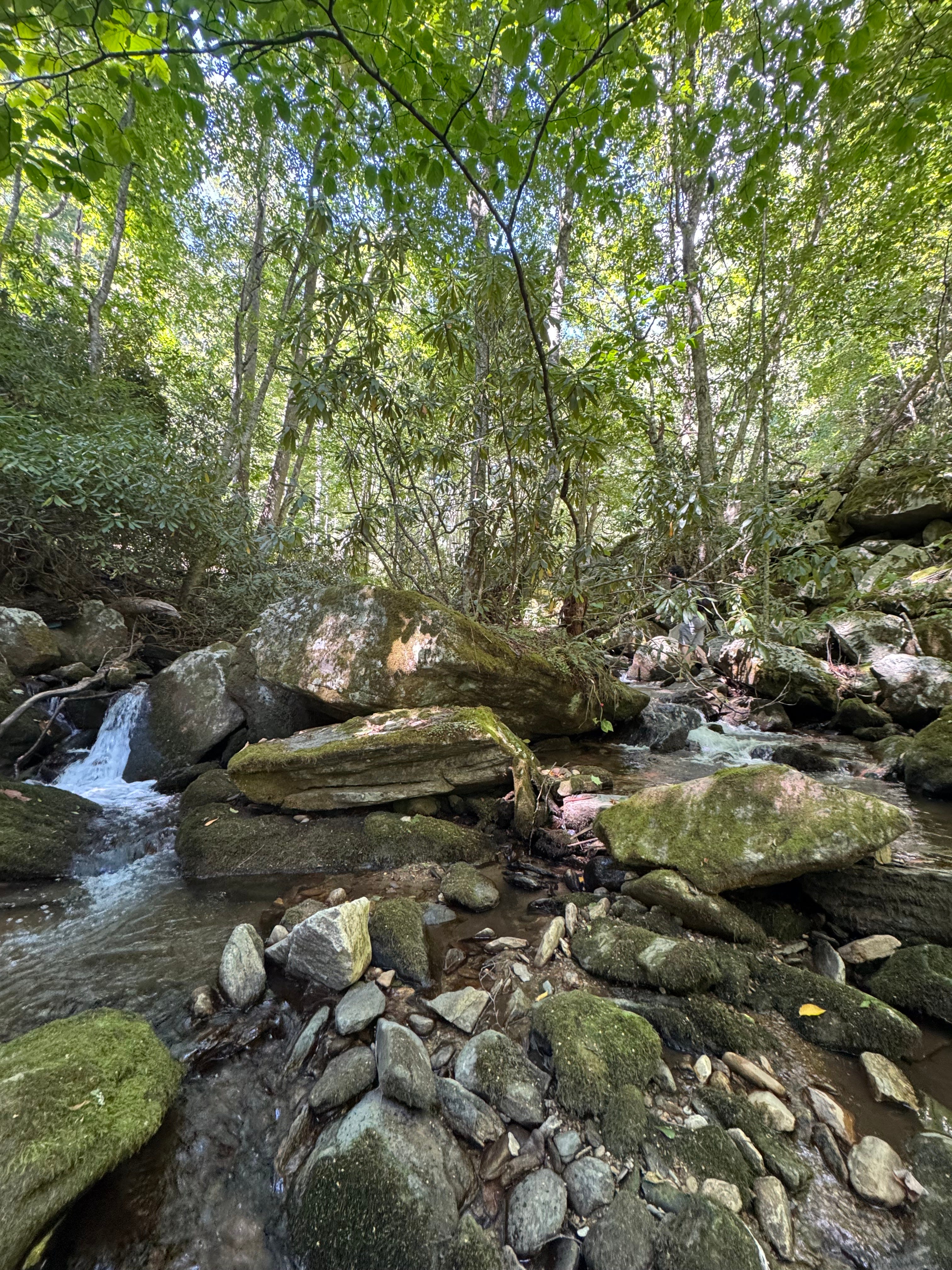 DISPATCH 12: THE HUNT FOR PEACE AT HOME