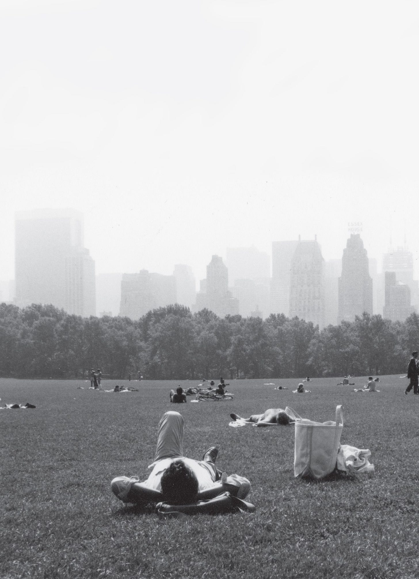 J.J. Semp lies on the grass in Central Park.