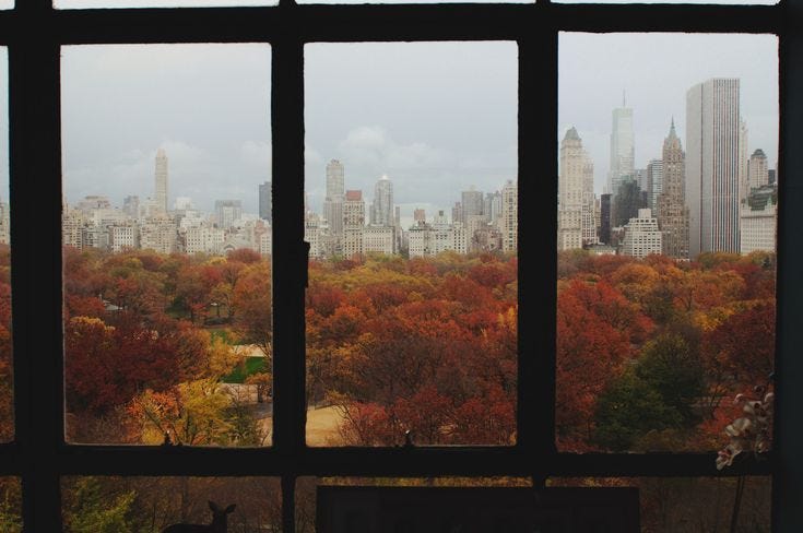 This may contain: the view from an open window in a building with autumn trees and buildings behind it