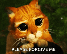Forgive Me GIFs | Tenor