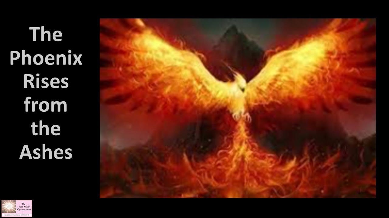 The Phoenix Rises From the Ashes - YouTube