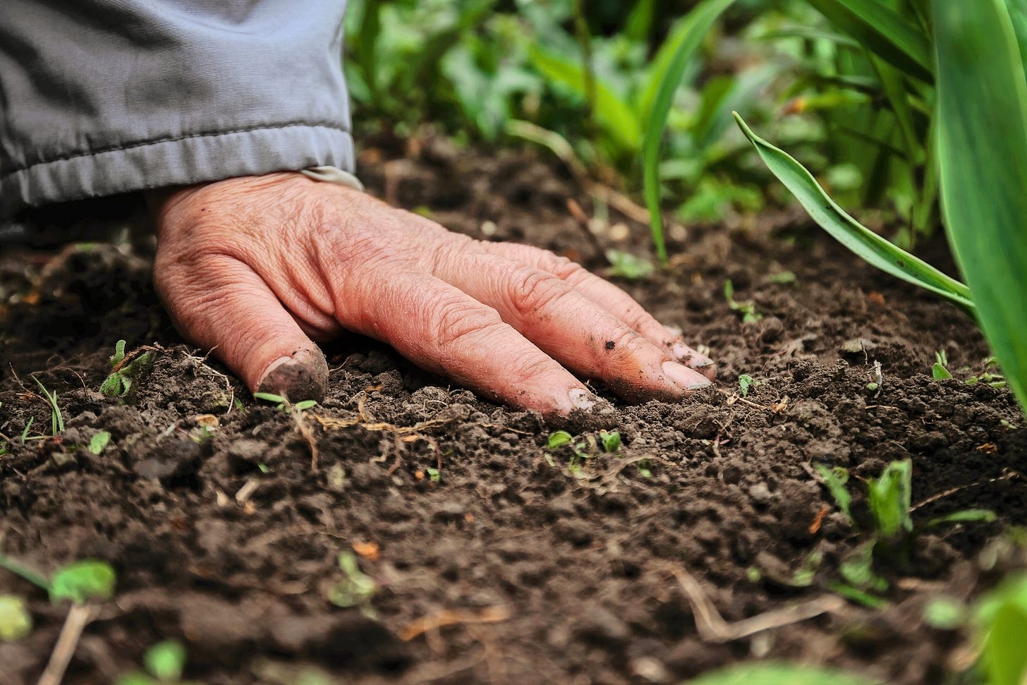 A hand resting palm down on earth