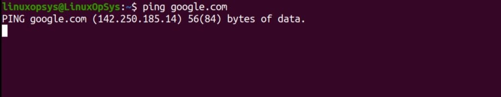 example ping a domain
