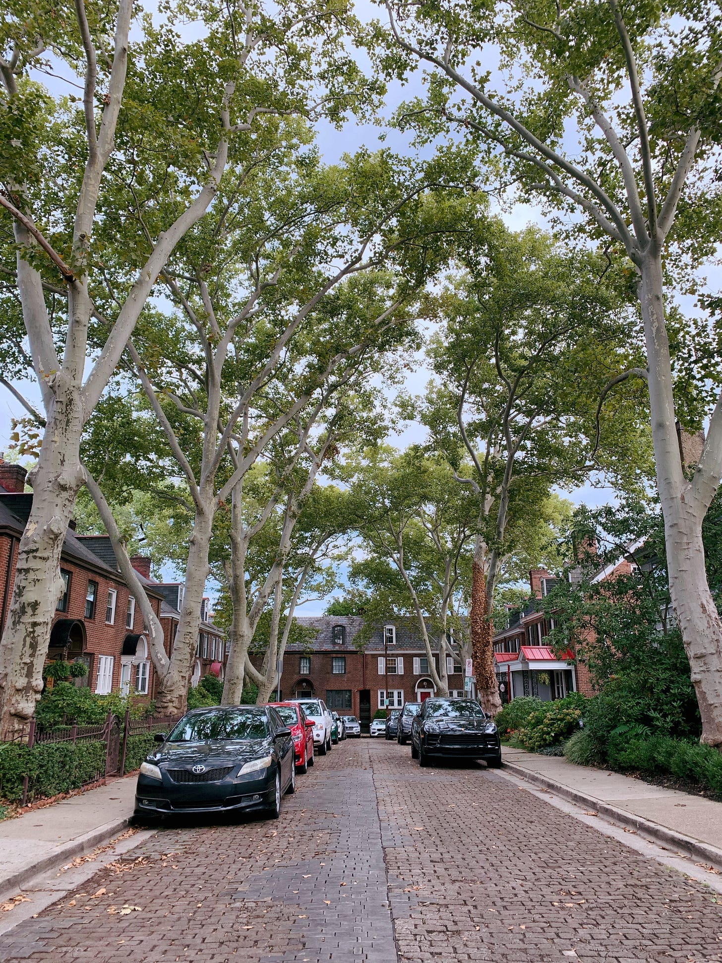 Roslyn Place on a fall day