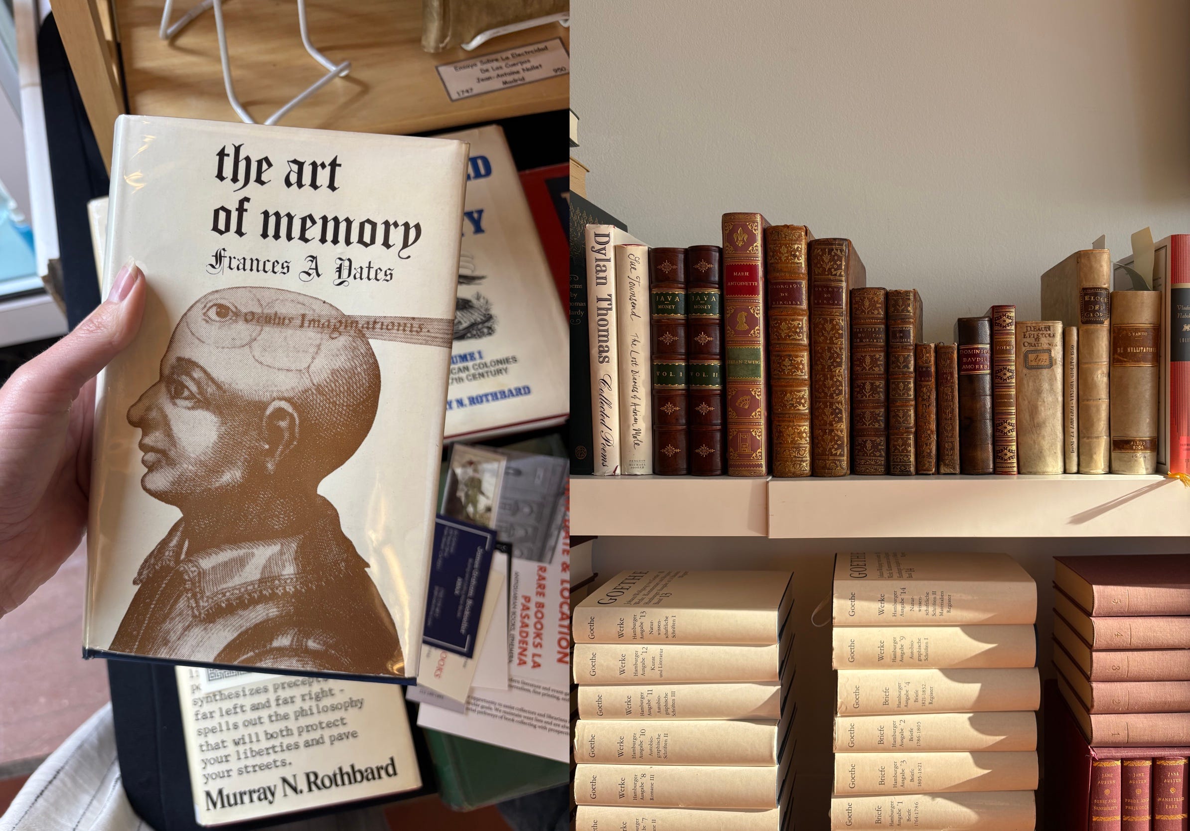 Seks år med Obi med ALS: A Veteran's Testimony - Obi, image size:2388x1668