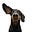Kathy K's avatar