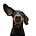 Kathy K's avatar