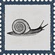 Snail Mail