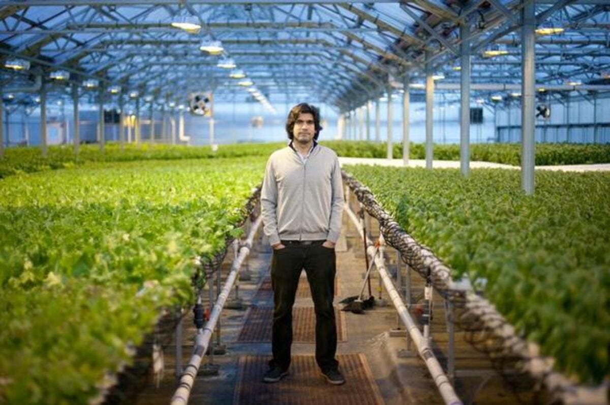 Gotham Greens: A Farm Grows in Brooklyn - Bloomberg