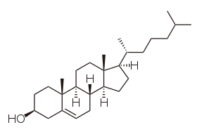 Chemical structure of cholesterol