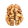 the unremarkable brain