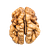 the unremarkable brain