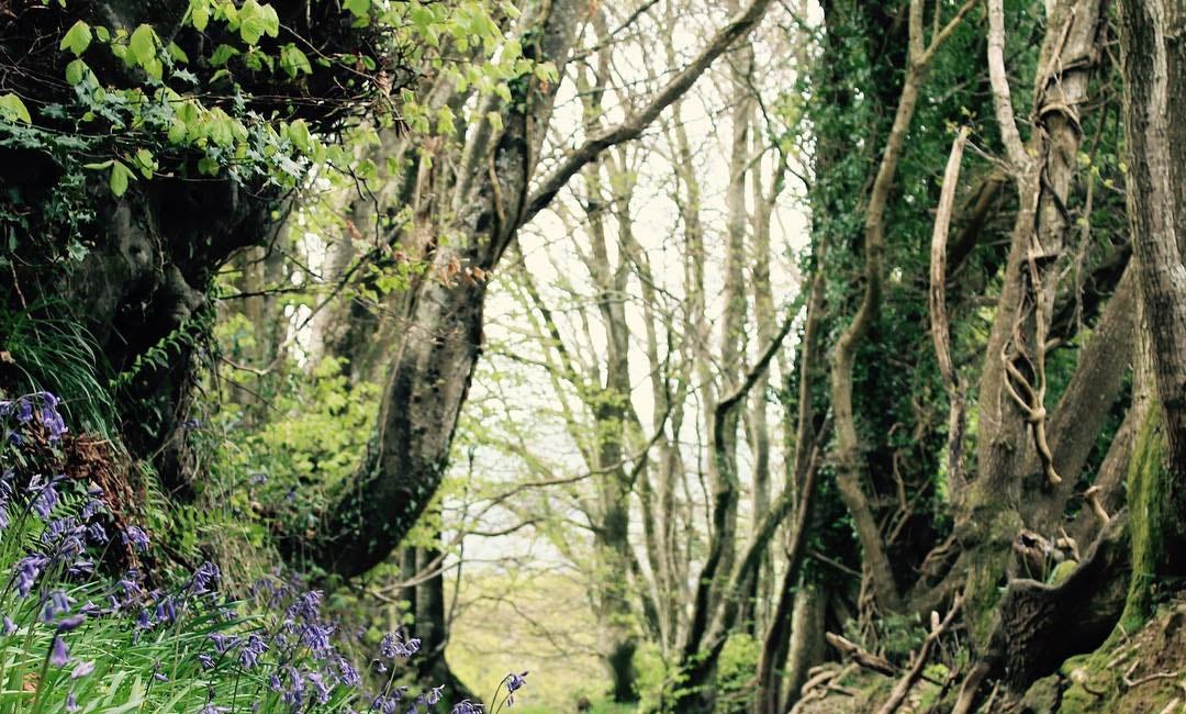 SOME RECOMMENDED WALKS