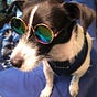 Carol F's avatar
